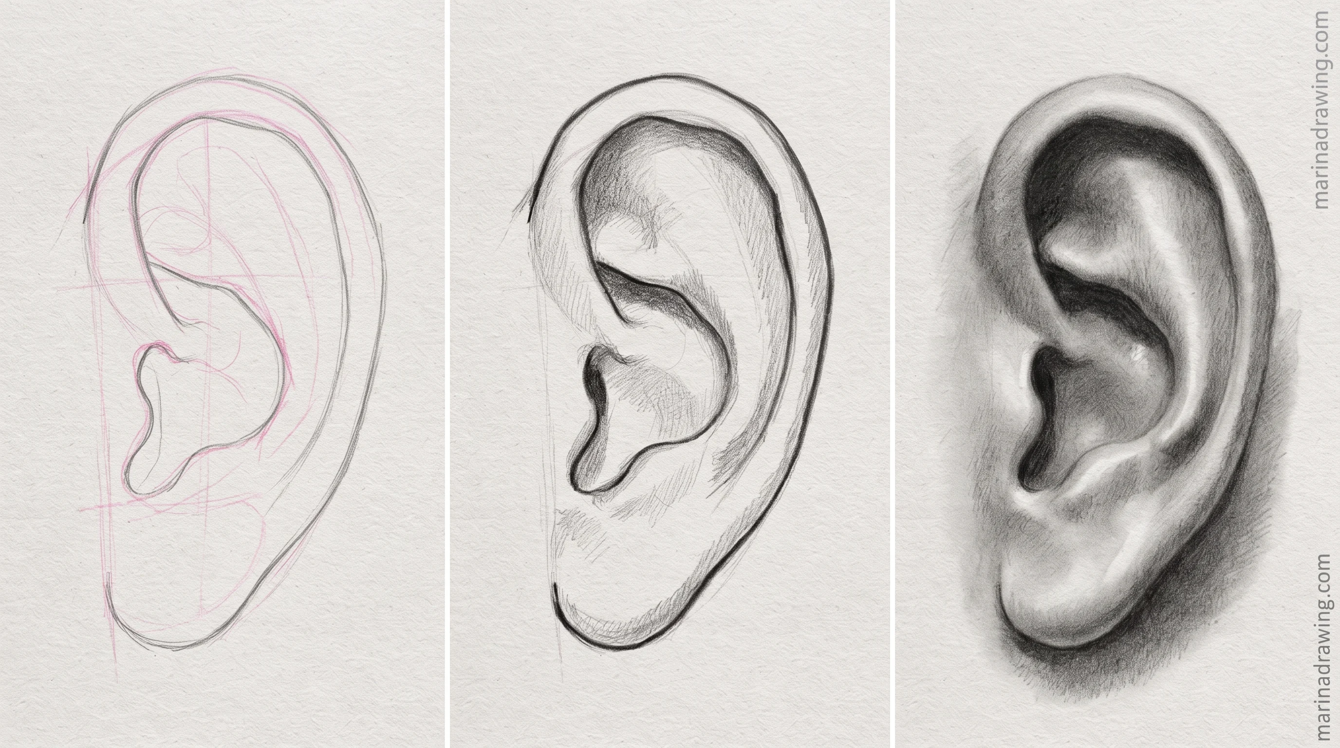 ear reference frame step by step drawing