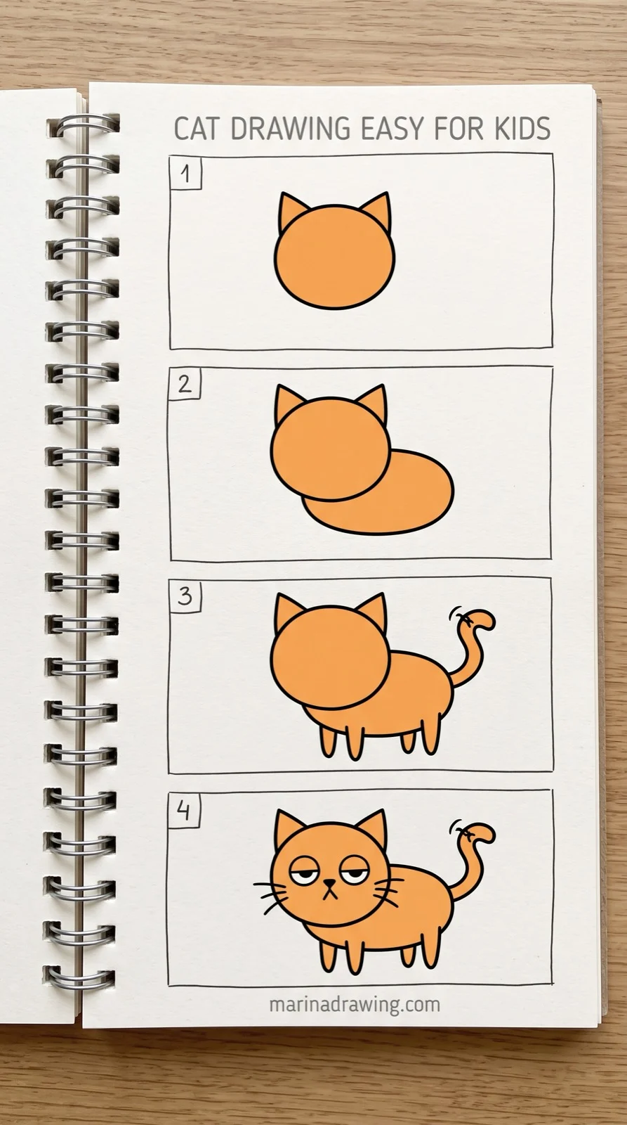 Cat drawing easy for kids — four numbered steps from circle head to finished cat, step by step drawing