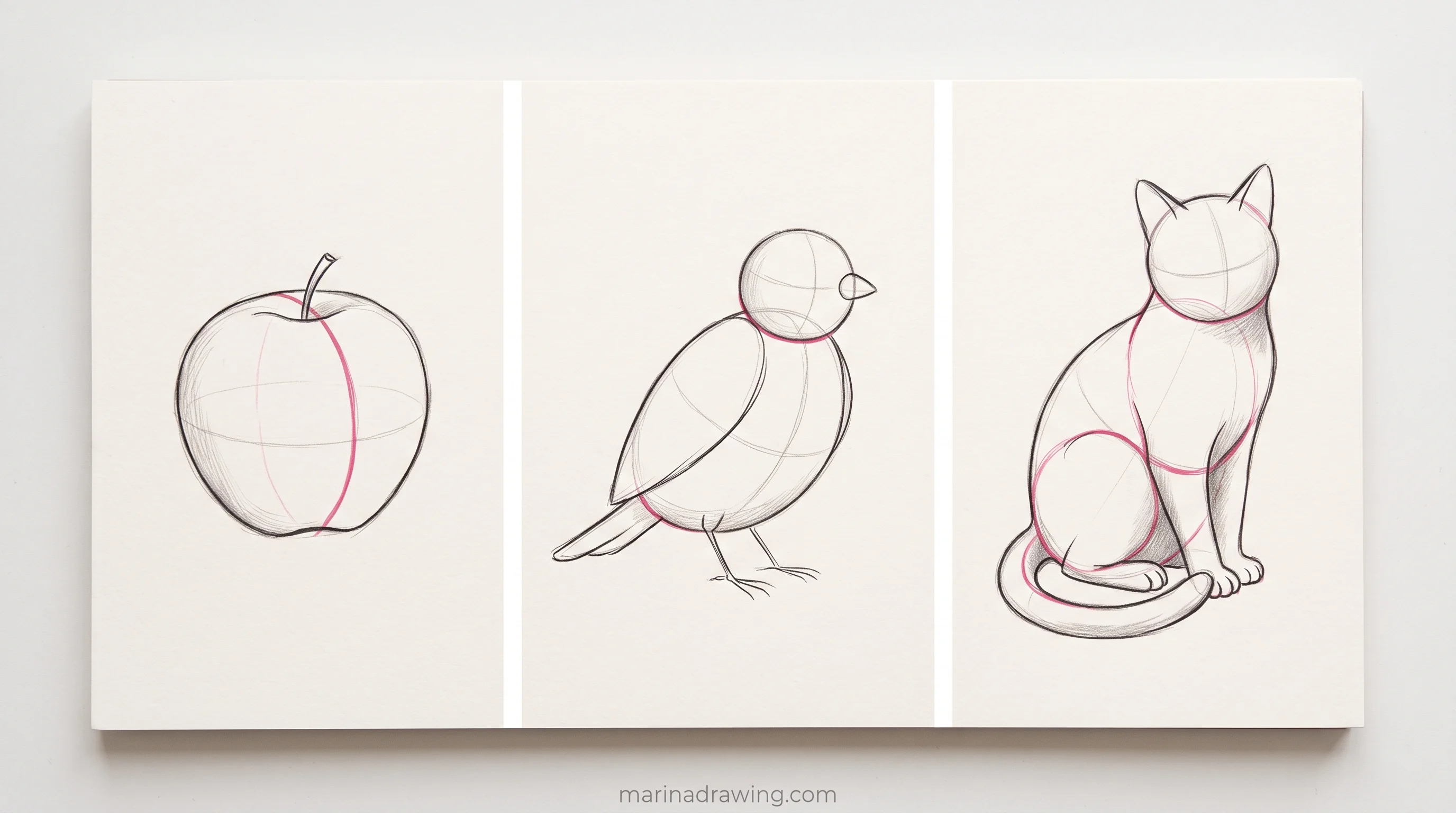 Construction shapes under an apple, a bird and a sitting cat for beginners, step by step drawing