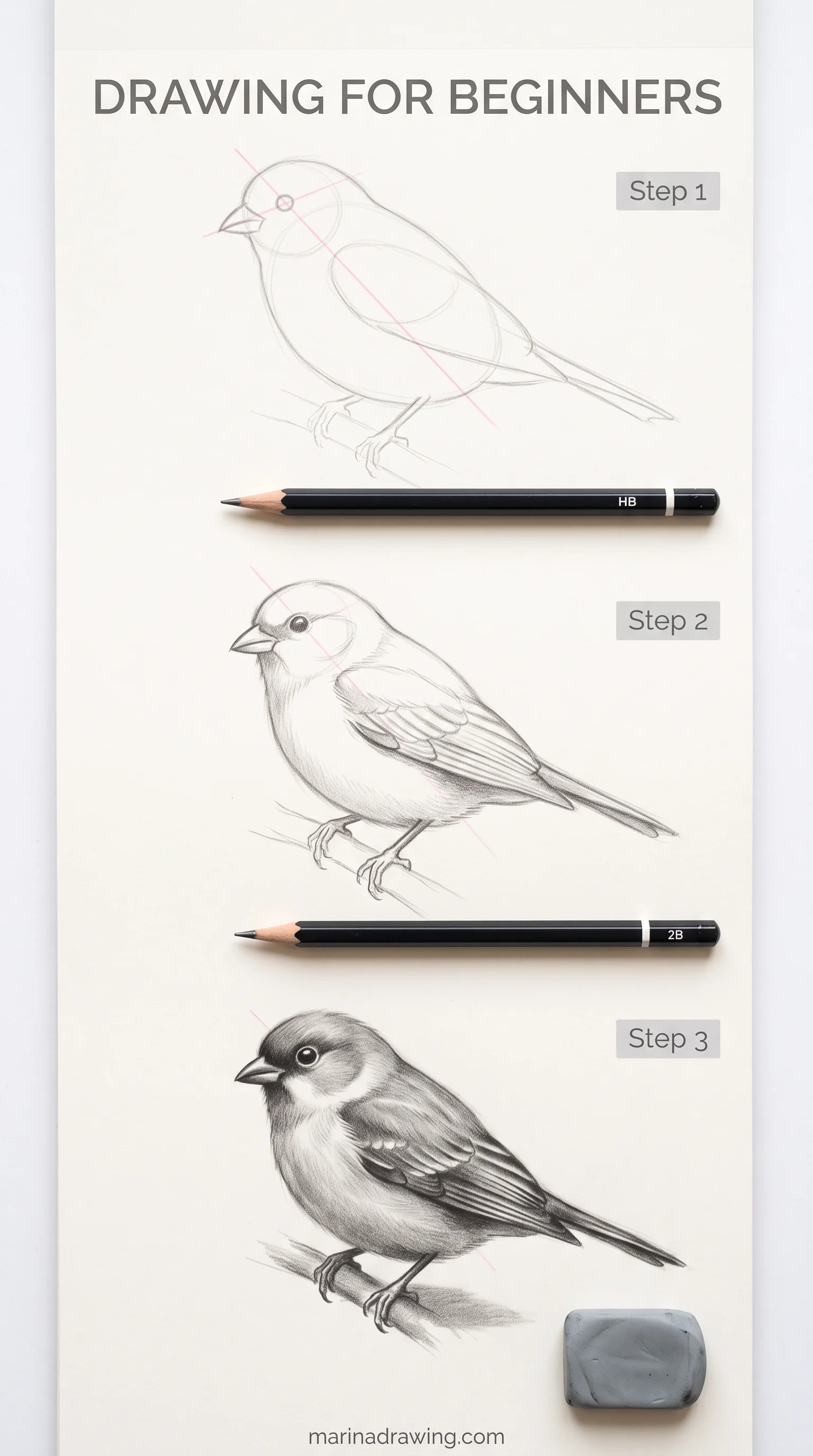 Drawing for beginners: a small bird sketched as two masses before any feathers, step by step drawing