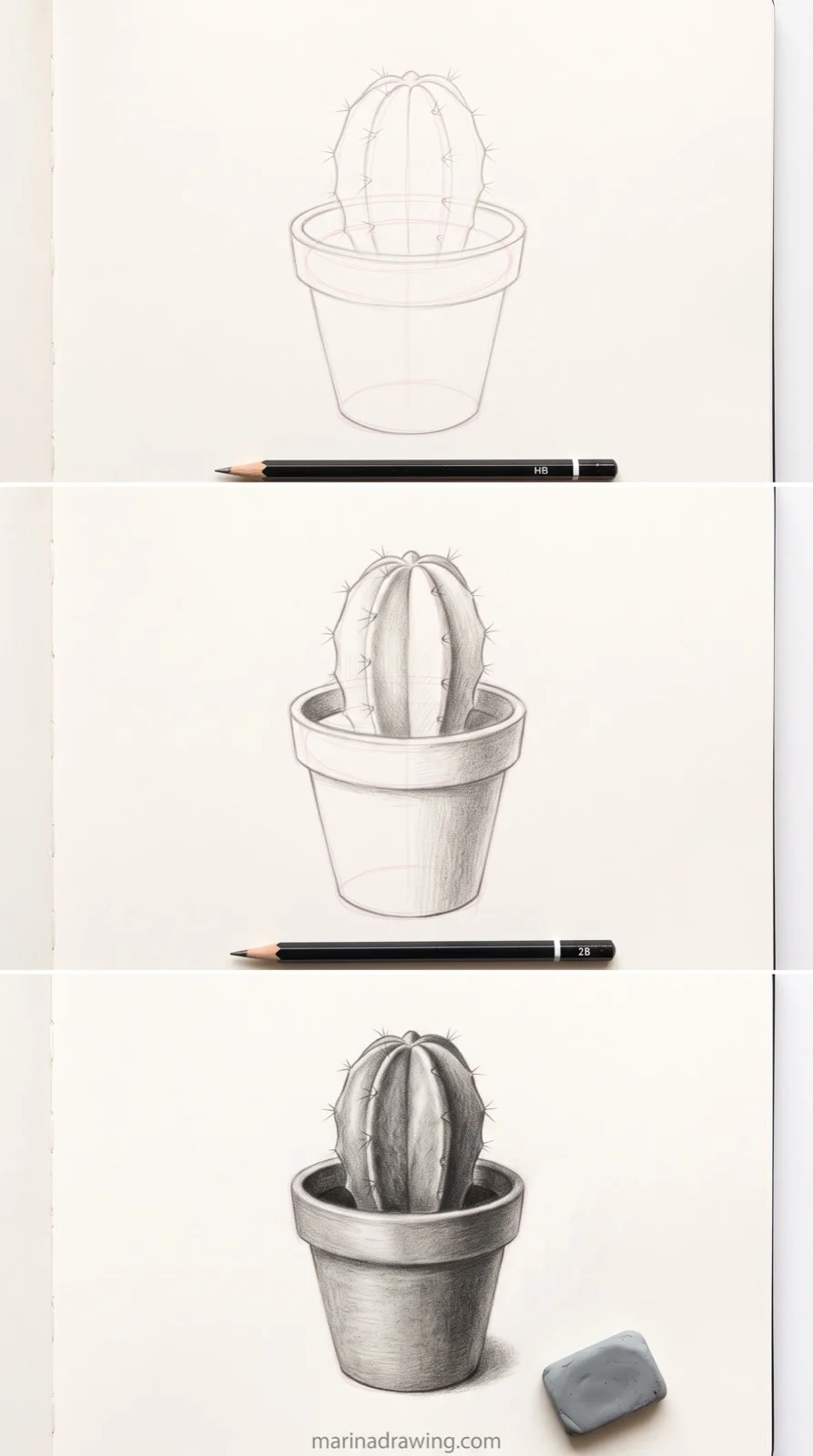 Easy cactus in a pot drawing for beginners in three steps step by step drawing