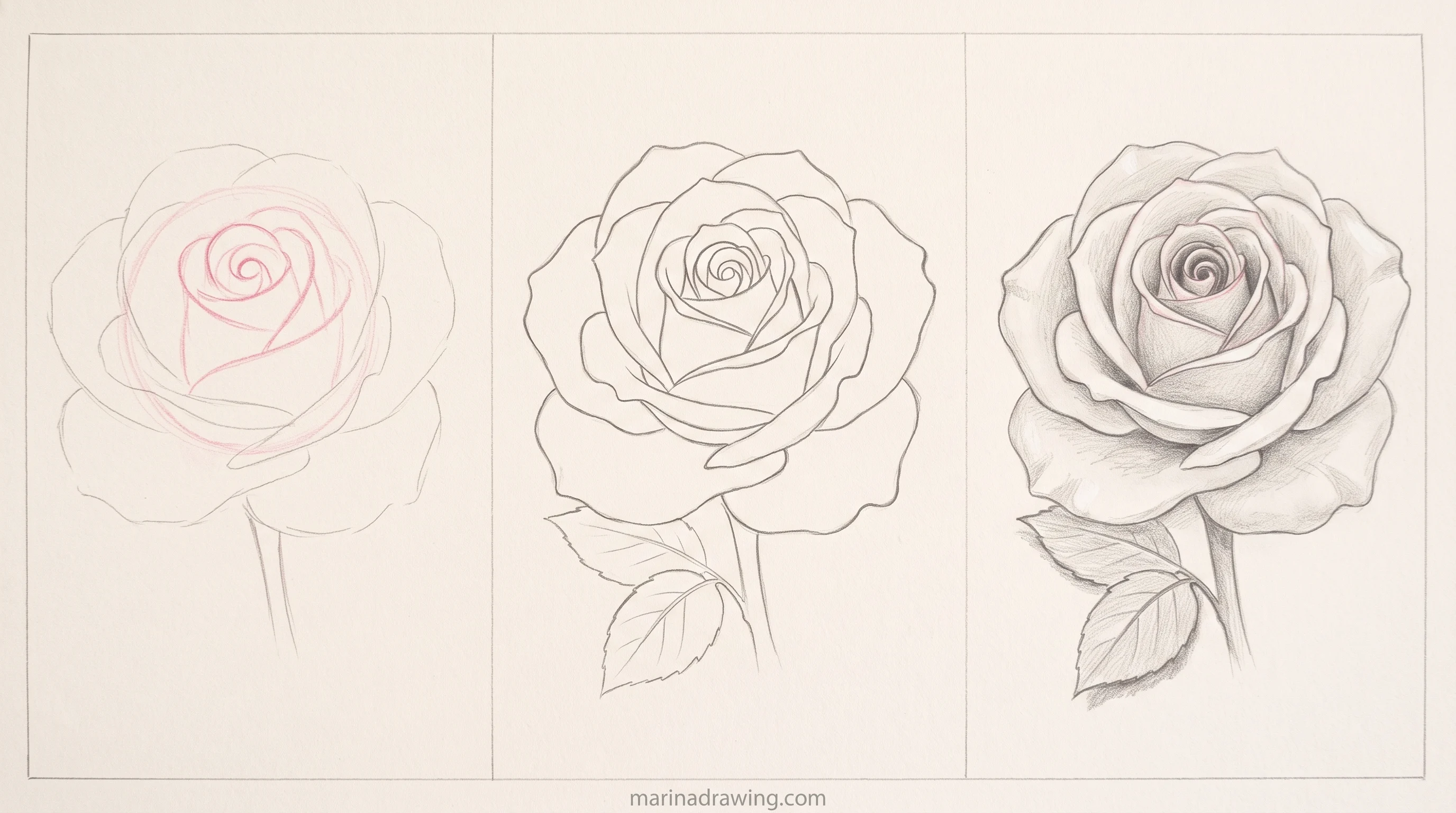 rose flower drawing stamped vs varied petals step by step drawing