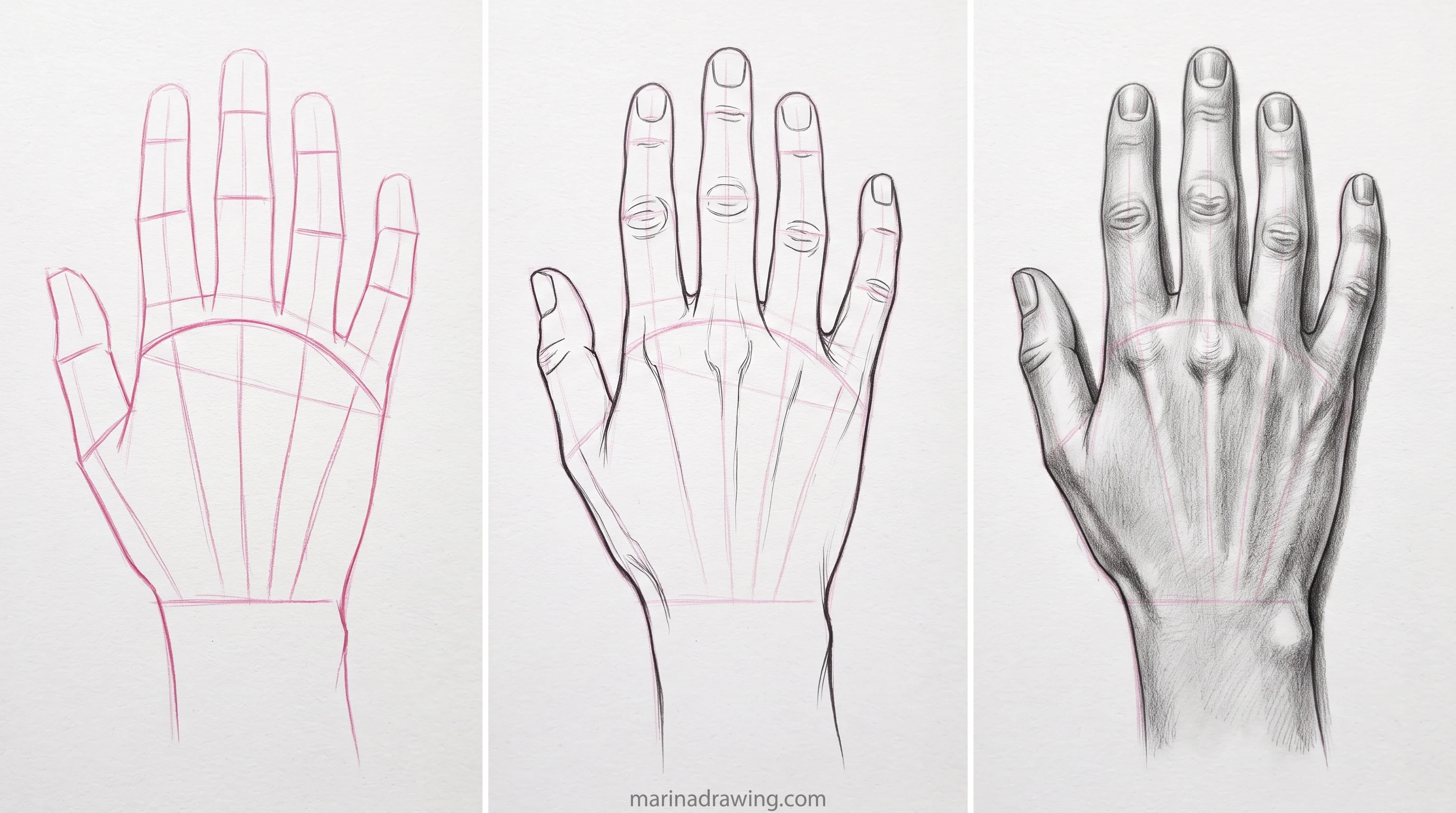 Back of the hand drawn in three panels from construction to finished graphite step by step drawing