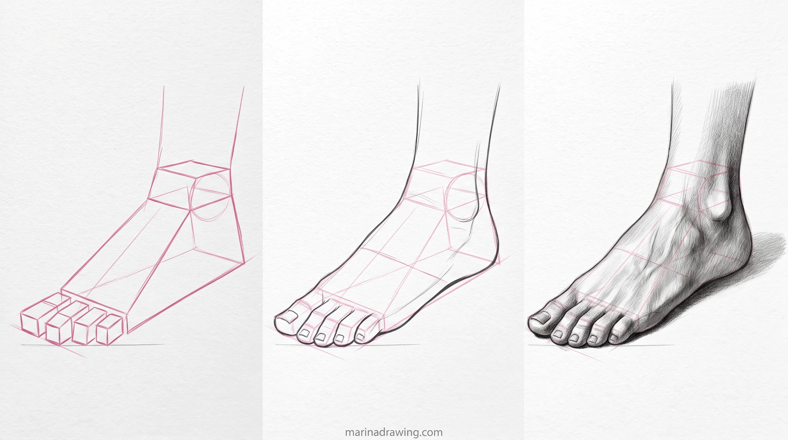 Foot drawn in three panels from construction to finished graphite step by step drawing