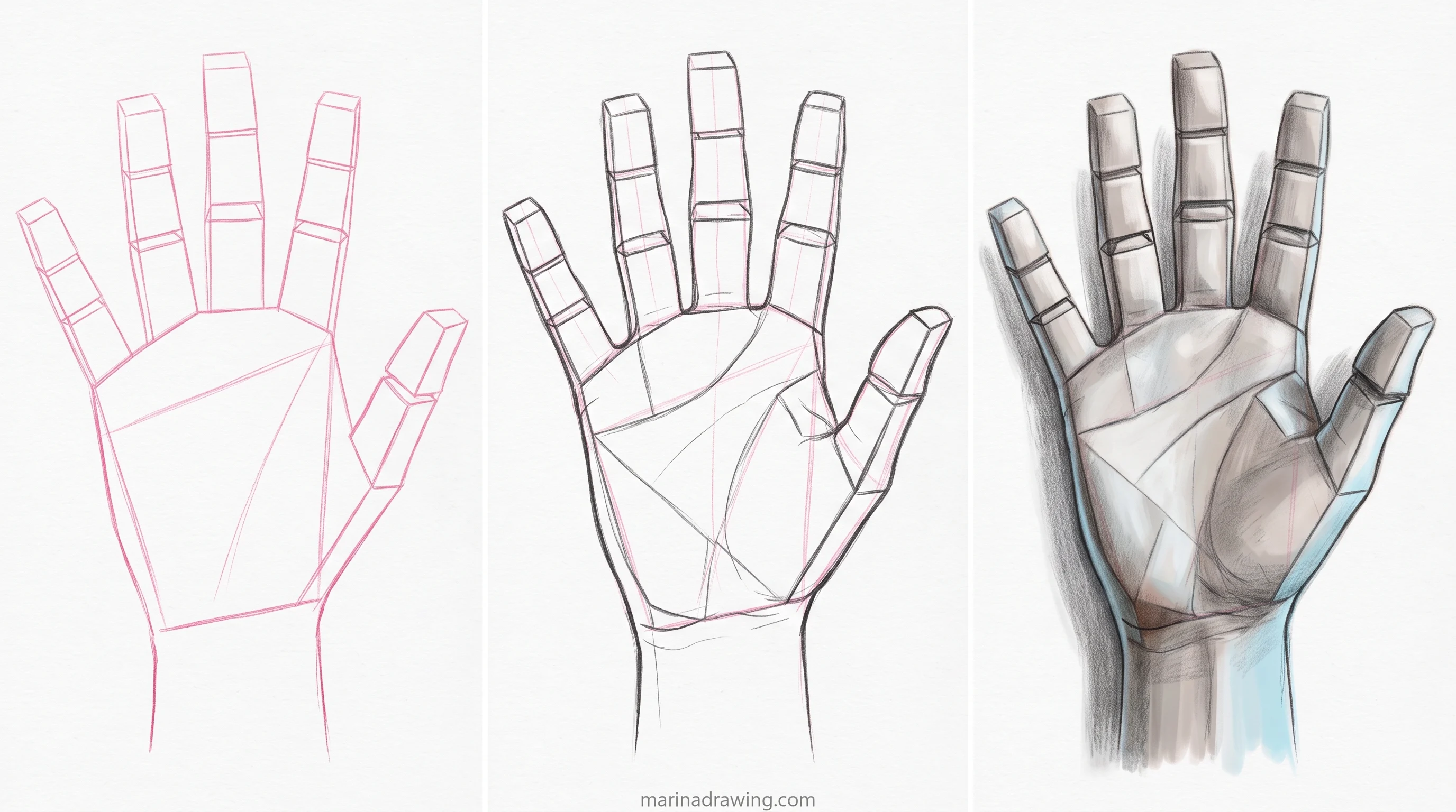 Open palm drawn in three panels from construction to finished graphite step by step drawing