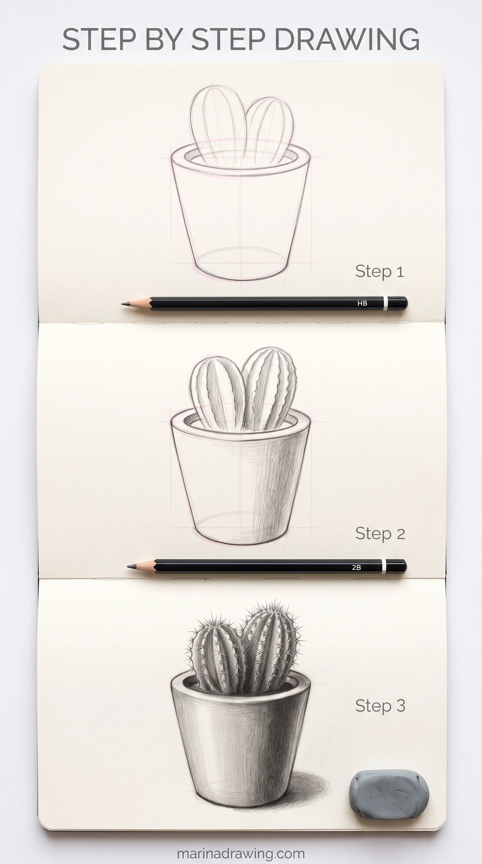 Step by step drawing of a cactus in a pot built from two touching forms, step by step drawing
