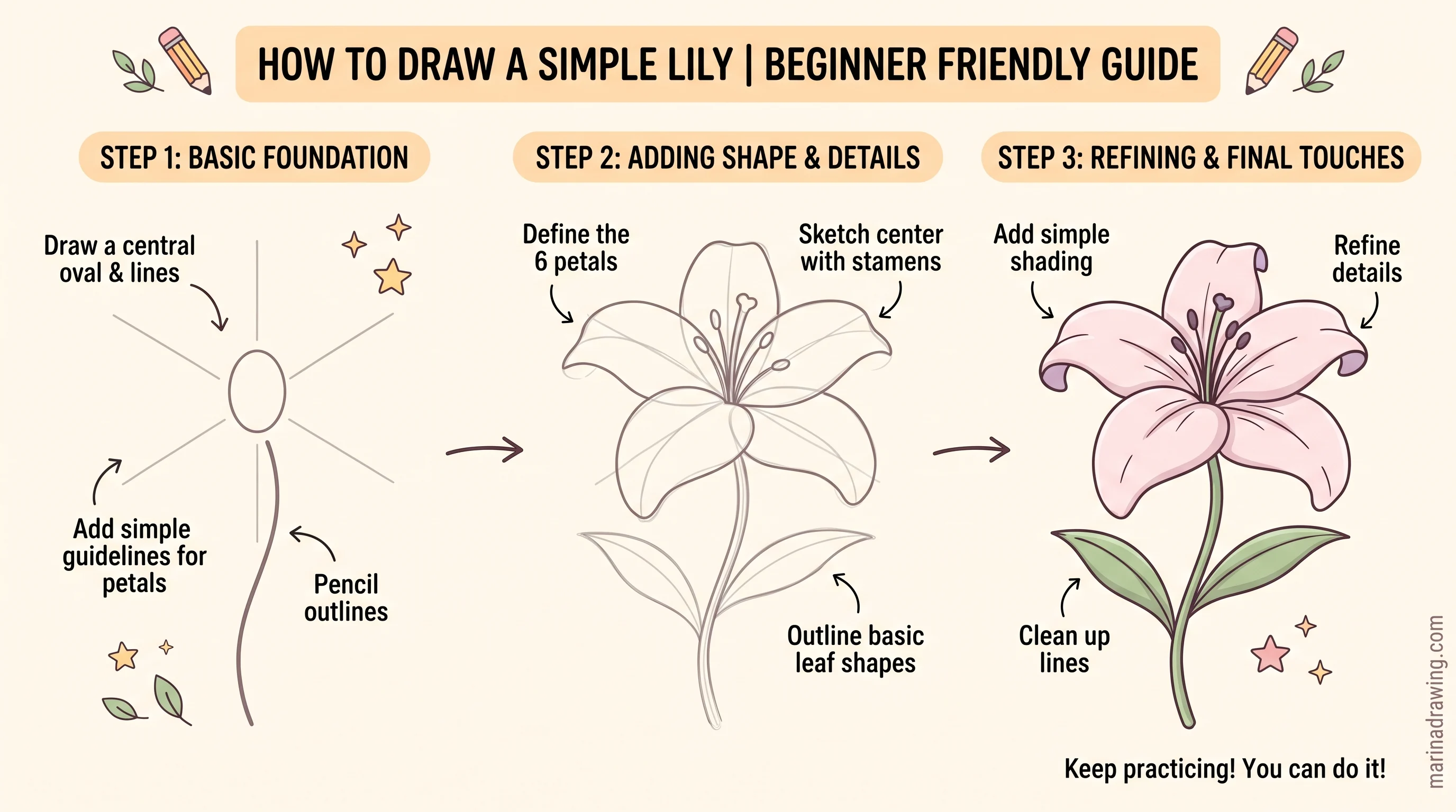 Drawing of a lily flower