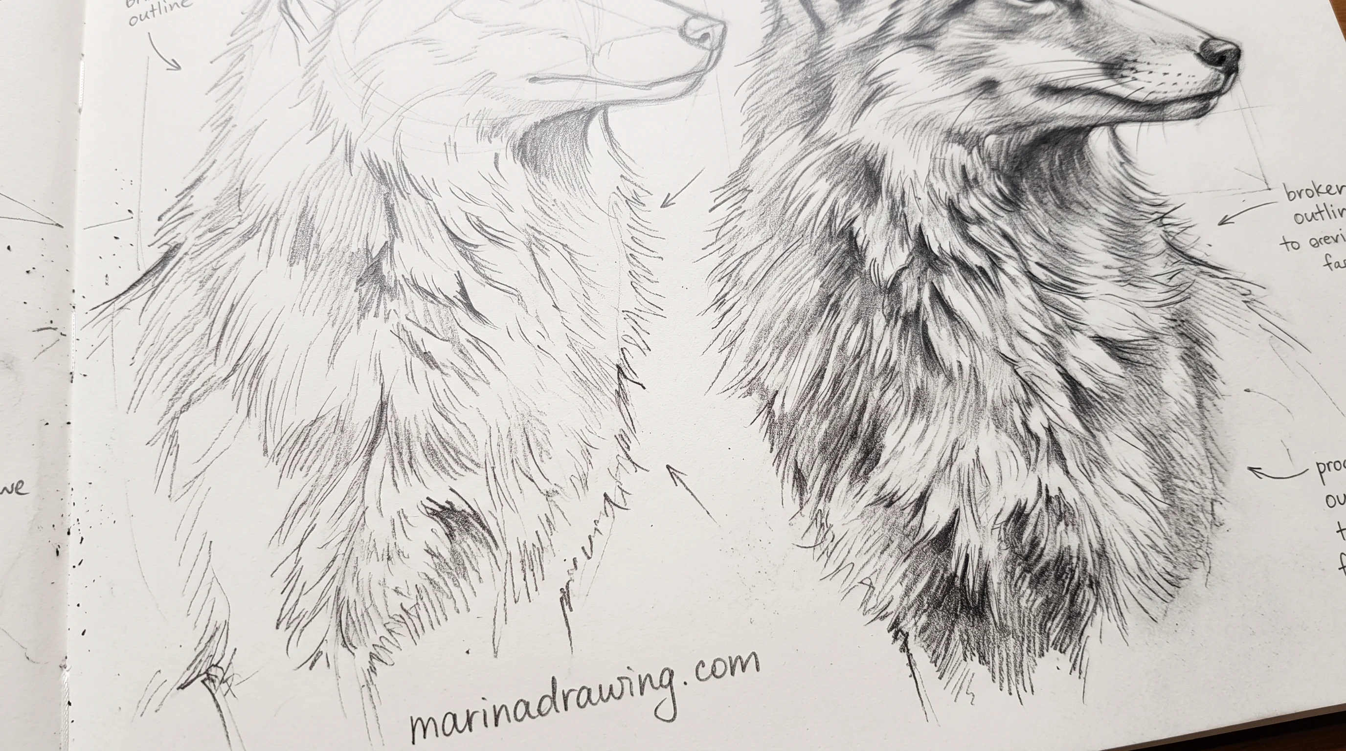Fox fur drawn as clumps with a broken outline instead of single hairs