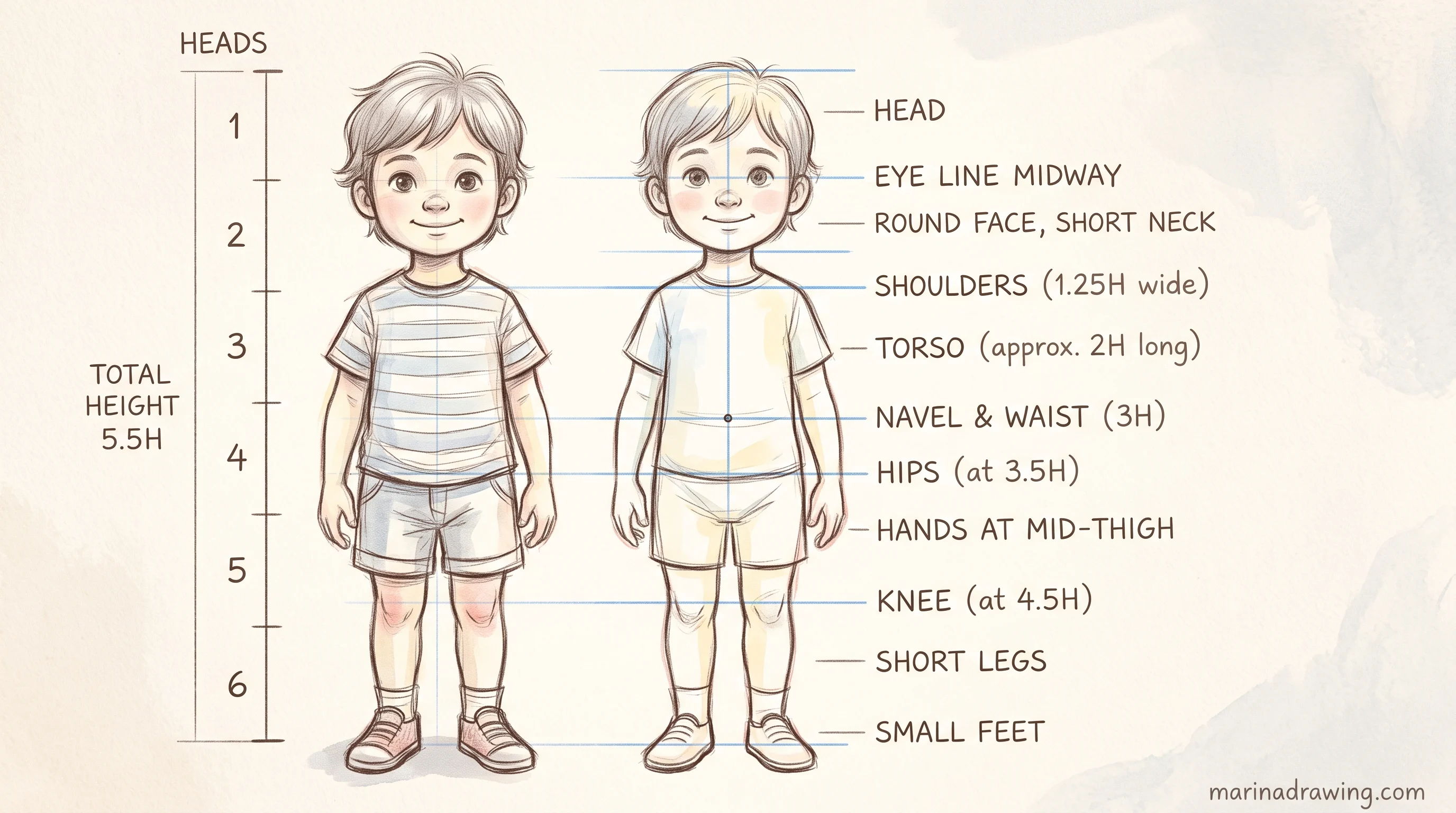 Child character proportions drawing tutorial